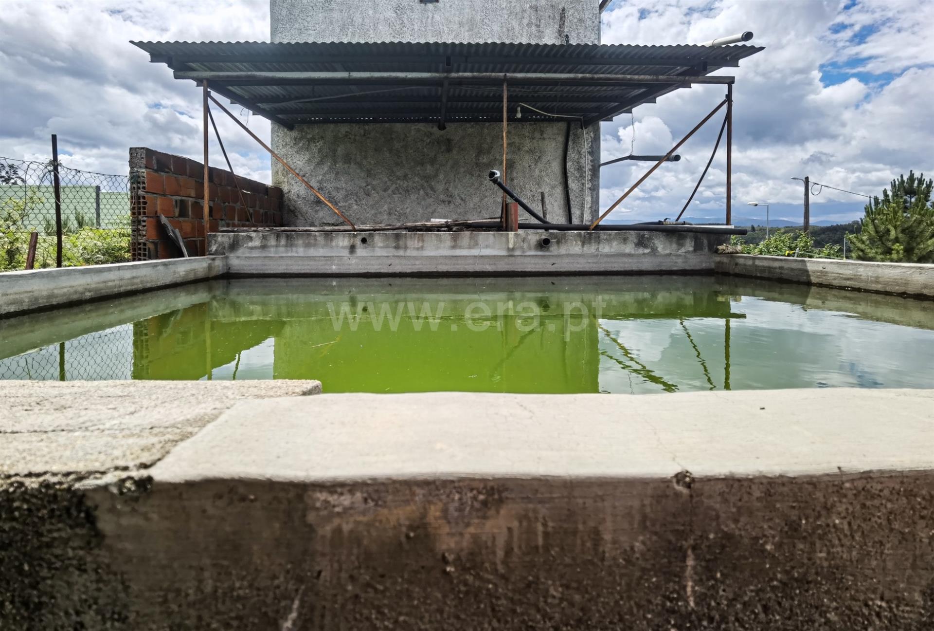 vendo quinta em Candosa